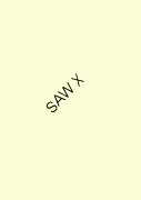 SAW X